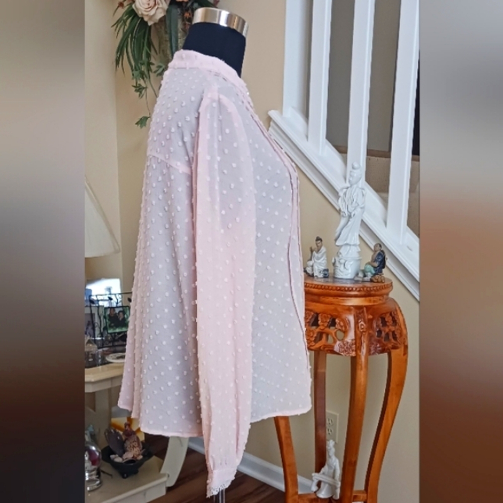 POL Swiss Dot Lace Accent Pale Pink Blouse NWOT  Small - Picture 4 of 13